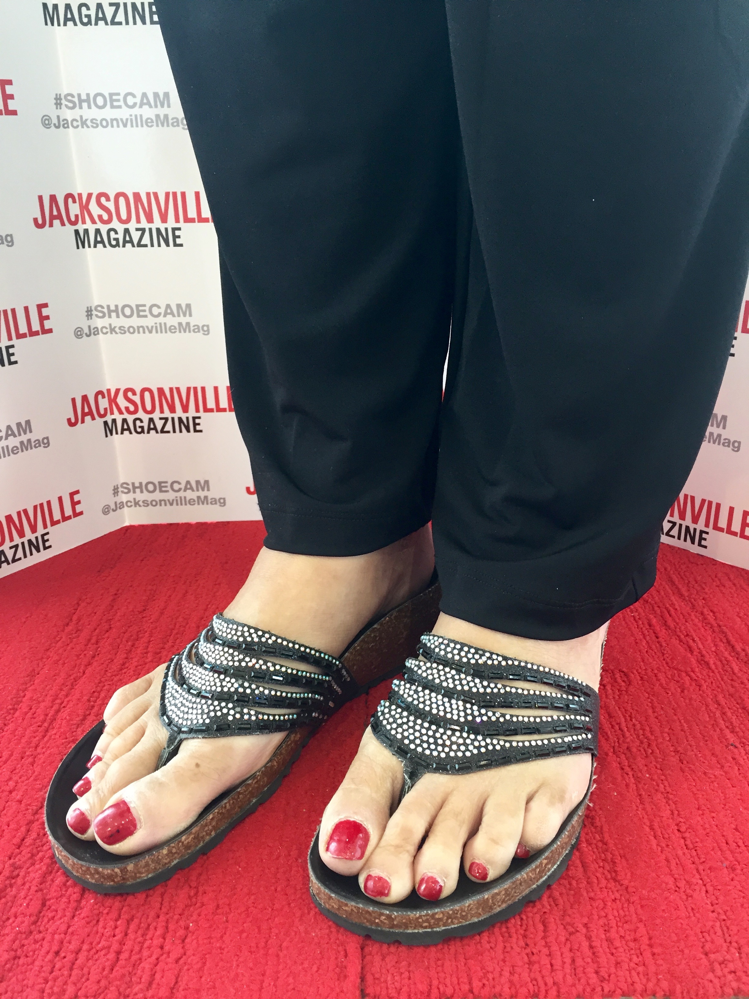 Artist Series 2016 Season Kickoff Jacksonville Magazine