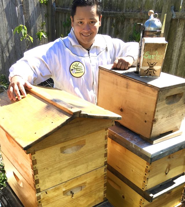 Bee Line | Jacksonville Magazine