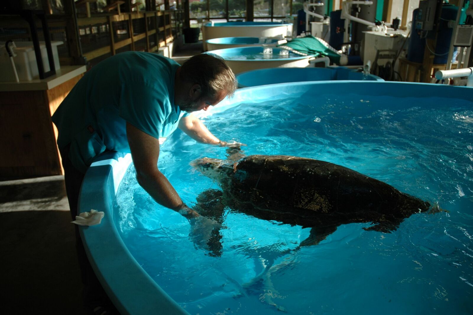 Turtle Island Jacksonville Magazine