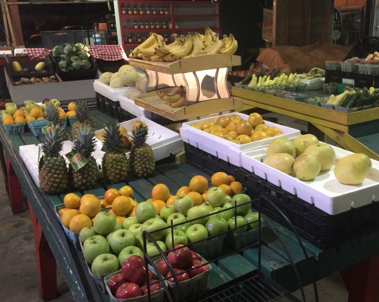 Night Moves | Jacksonville Magazine