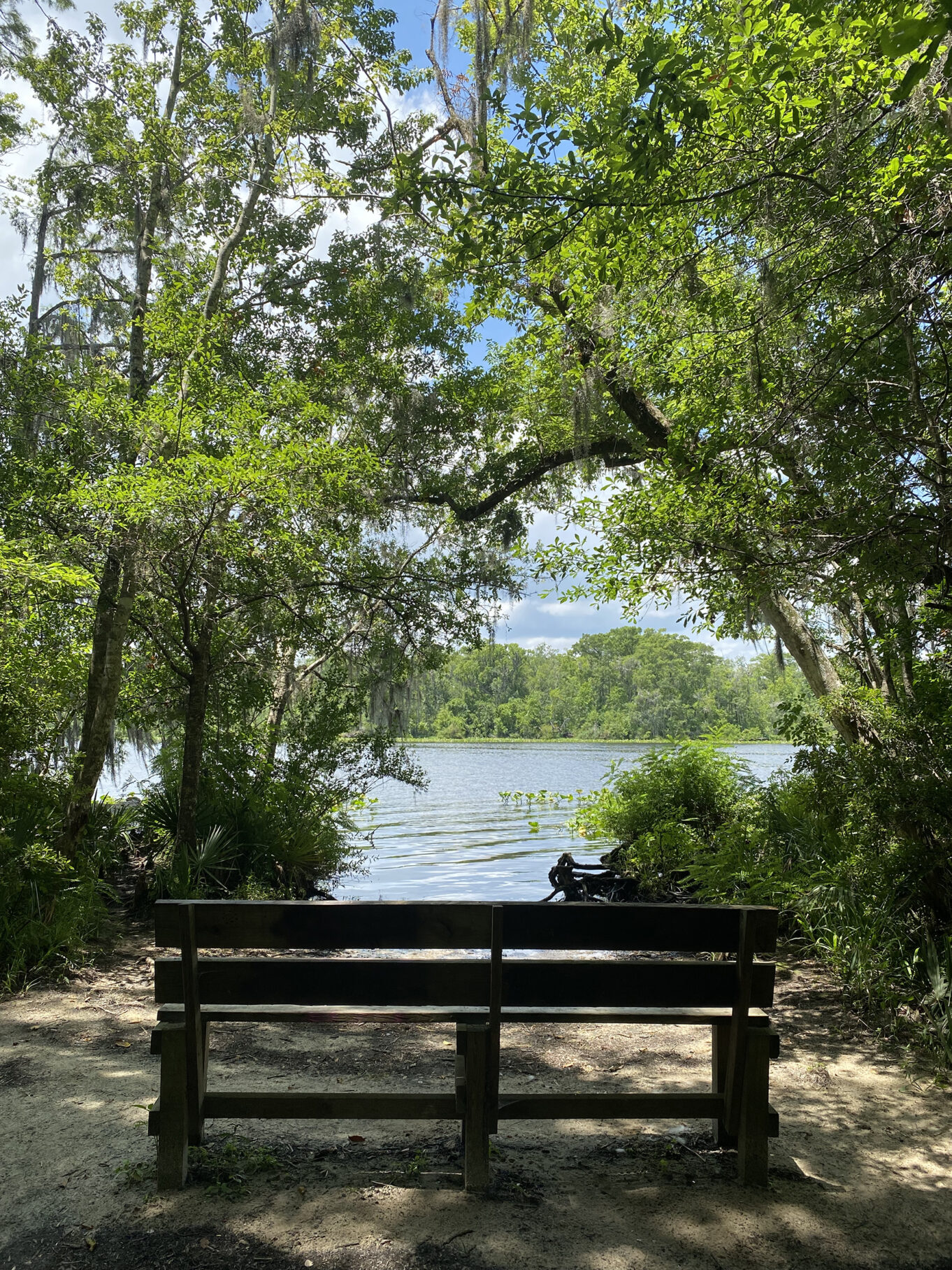 Black Creek Park & Trail Jacksonville Magazine