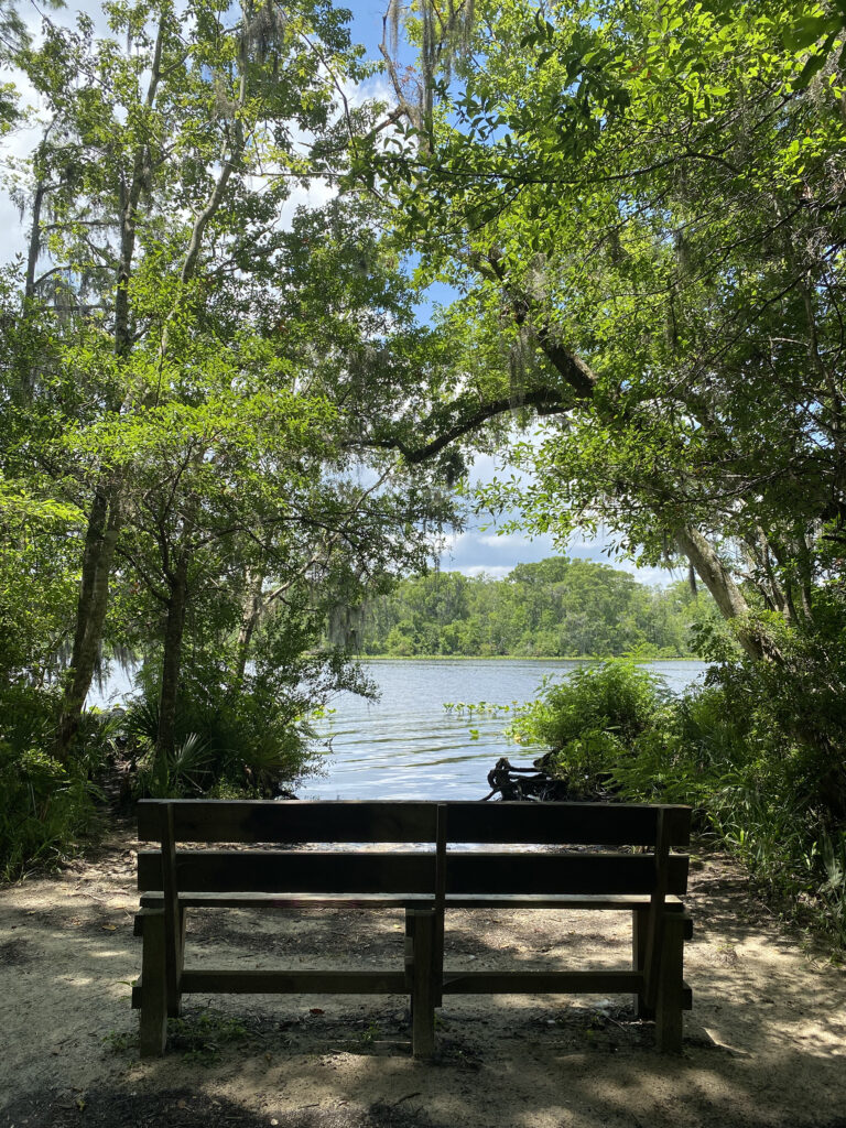 Black Creek Park & Trail Jacksonville Magazine