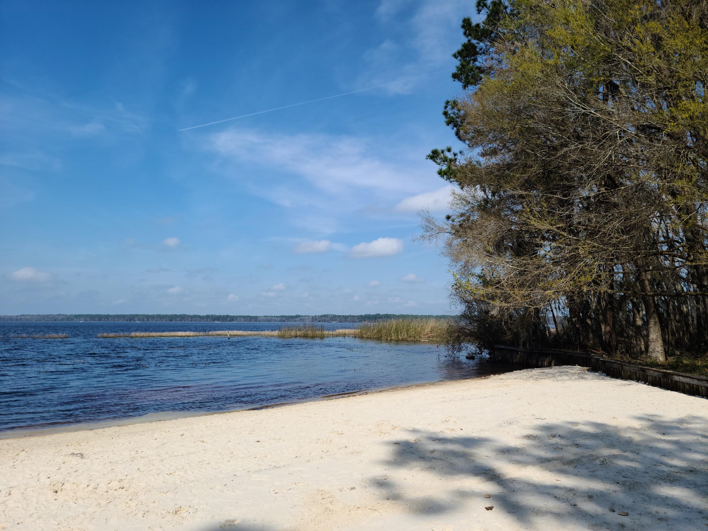 A Walk in the Park Jacksonville Magazine