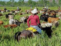 Move ‘em Out, Head ‘em Up